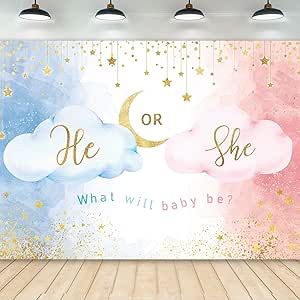 Newborn Party, He Or She Gender Reveal, Gender Reveal Backdrop, Photo Booth Props Birthday, Moon Cute, Baby Shower Background, Photo Booth Prop, Banner Photo, Gender Reveal Party Decorations