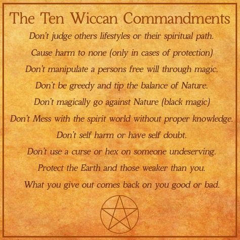 Visit the post for more. Wiccan Beliefs, Wiccan Decor, Wiccan Magic, Magic Spell Book, Grimoire Book, Wiccan Witch, Magick Spells, Eclectic Witch, Wiccan Spell Book