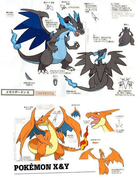 Mega Charizard X And Y, Mega Charizard Y, Pokemon Concept, Charmander Charmeleon Charizard, Evolution Pokemon, Pokemon Mix, Concept Art Books, Mega Charizard, Pokemon X And Y