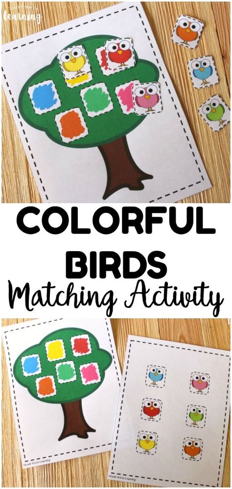 Work on color recognition with this cute bird-themed color matching activity for kids! So simple for an early learning activity! #lookwelearn #prek #preschool #learning Preschool Bird Activities, Birds Activities Preschool, Colors Activities For Kids, Bird Activities For Kids, Matching Activities For Preschoolers, Bird Preschool, Learning Colors Activities, Color Activities For Toddlers, Early Childhood Education Activities