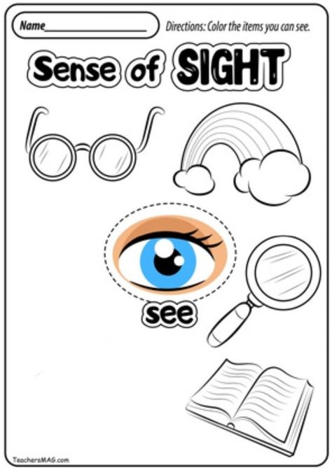 Sense Of Sight Craft, Sense Of Sight Activities Preschool, Body Parts Preschool Activities, Inflectional Endings, Preschool Worksheets Free Printables, Preschool Number Worksheets, Body Parts Preschool, Flamingo Craft, Sense Of Sight