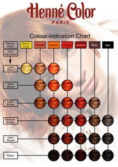 Colour indication Chart to give an idea on the resulting colour Hair Dye Color Chart, Diy Highlights Hair, Hair Chart, Henna Hair Color, Henna Color, Noir Color, Tattoo Prices, Hair Color Chart, Henna Hair