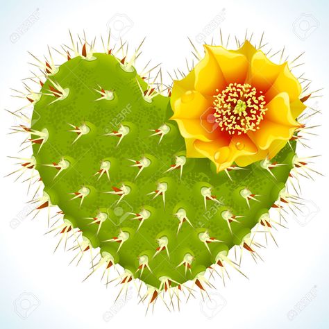 Cactus Flower Painting, Heart Cactus, Cactus Pictures, Wedding Vector Art, Cactus Tattoo, Cactus Drawing, Cactus Illustration, Cute Alphabet, Cactus Art