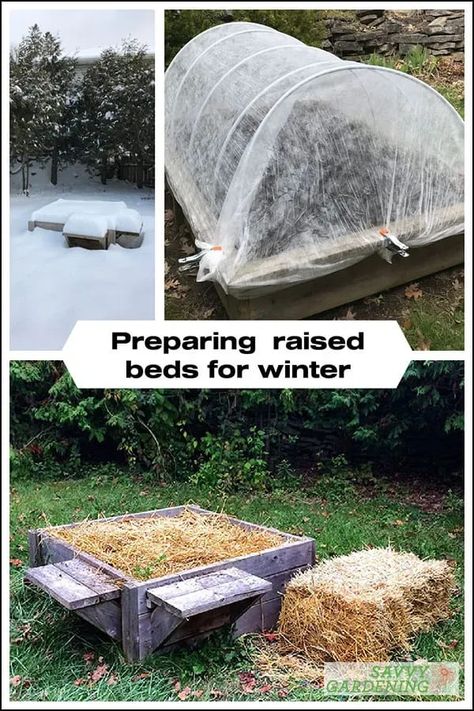 Cold Frame Raised Bed, Preparing Garden Beds, Raised Herb Garden, Cold Frame Diy, Growing Vegetables In Pots, Spring Crops, Vegetable Garden Raised Beds, Perennial Vegetables, Farm Lifestyle