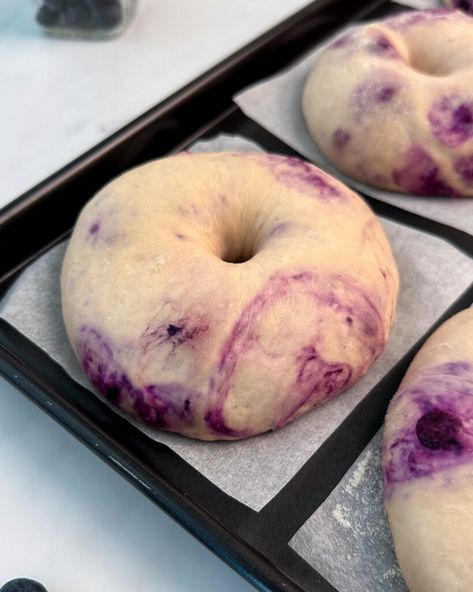 Blueberry Sourdough, Blueberry Bagel, Bagel Bread, Sourdough Bagels, Blueberry Cream Cheese, Bagel Recipe, Dried Blueberries, Sourdough Recipes, Sourdough Starter