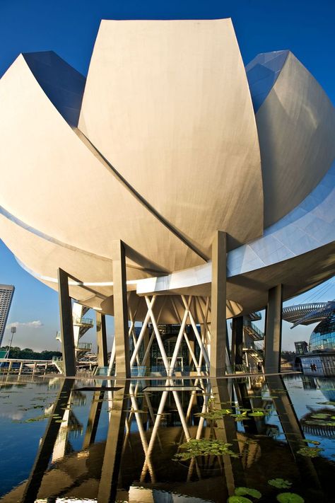 Singapore architecture photography for Art Science Museum Singapore Art Museum, Art Science Museum, Singapore Architecture, Singapore Art, Character Personality, Lobby Interior, Art Science, Architectural Photography, Science Museum