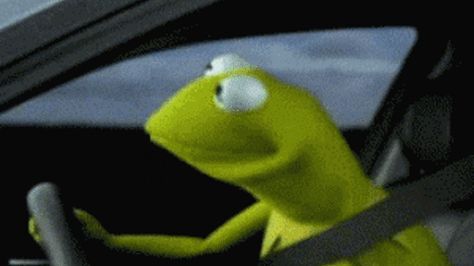 The best GIFs are on Giphy Oh No You Didn't!!!! Kermit Gif, Christian Bale Gif, Annoying Things People Do, Sapo Kermit, Kermit The Frog Gif, Memes In Real Life, The Muppets, My Face When, Kermit The Frog