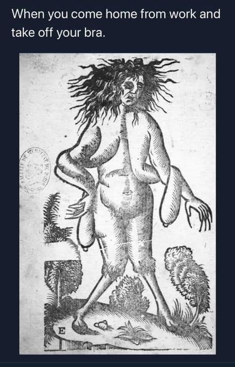 Medieval Monsters, Secret Symbols, Medieval Drawings, Medieval Artwork, Outdoors Tattoo, Book Of Hours, Occult Art, Marco Polo, The Middle Ages