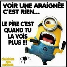 Visiter ma chaîne YouTube pour vous détendre Minions What, Minion Humour, Minion Jokes, Super Funny Pictures, Funny Quotes Sarcasm, Good Morning Funny, Minion Quotes, Minions Quotes, Humor Quotes