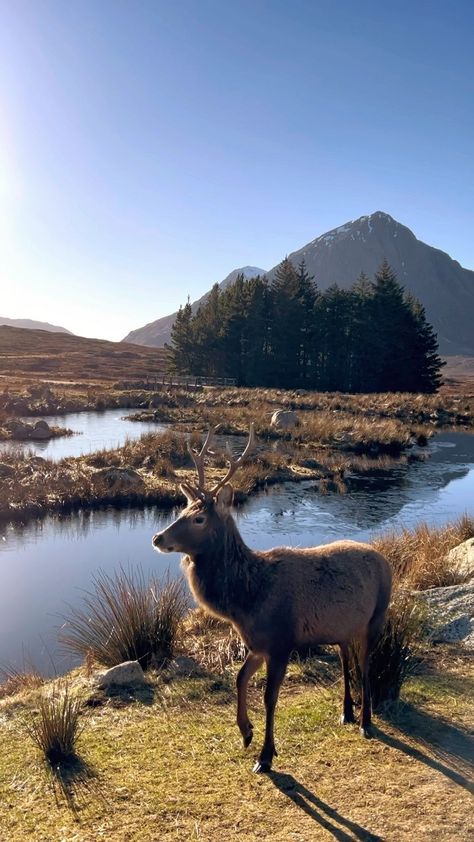 Scotland Glencoe, Scotland Aesthetic, Scotland Elopement, Glencoe Scotland, England Aesthetic, Fall Girl, Outdoor Aesthetic, Gap Year, Girl Falling