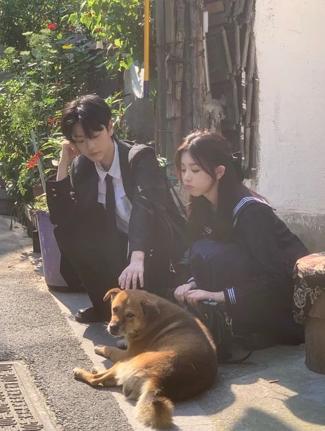 Japanese Highschool Couple Aesthetic, Asian Couple Aesthetic, Li Aesthetic, Alice Sun, Henry Li, Ann Liang, Japanese Couple, Asian Couple, People Poses