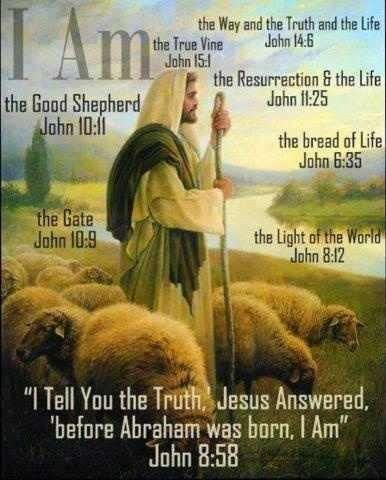 I am the Good Shepherd.... http://opalmassey.wordpress.com/2013/04/05/i-am-the-good-shepherd/ The Great I Am, Jesus Said, The Good Shepherd, Faith Inspiration, Jesus Is Lord, Lord Jesus Christ, Scripture Verses, Jesus Quotes, Faith In God