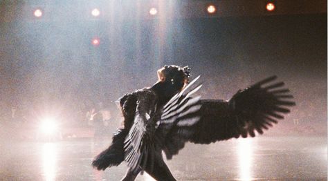 Meet the Man Who Gave "Black Swan" Wings | Fast Company | Business + Innovation Black Swan Movie, Swan Wings, Black Swan 2010, Swan Queen, Septième Art, I Love Cinema, Movie Shots, White Swan, Swan Lake