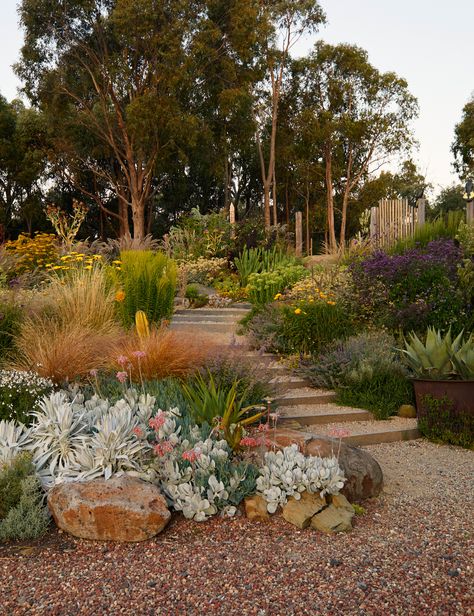 Melbourne Garden, Australian Garden Design, Australian Native Garden, Front Garden Design, Garden Inspo, Planting Ideas, Australian Garden, Sloped Garden, Coastal Gardens