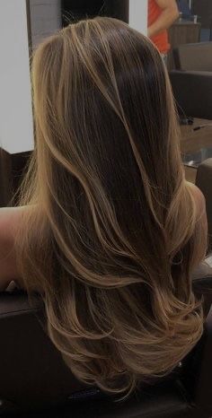 Light Caramel Hair With Highlights, Bleach On Brown Hair, Quarter Head Highlights Brown Hair, Layers For Hair Medium, Highlited Hair Brunettes, Dark Brown With Warm Highlights, Highlits Hair Brunettes, Warm Honey Highlights Brunettes, Chestnut Hair With Blonde Highlights