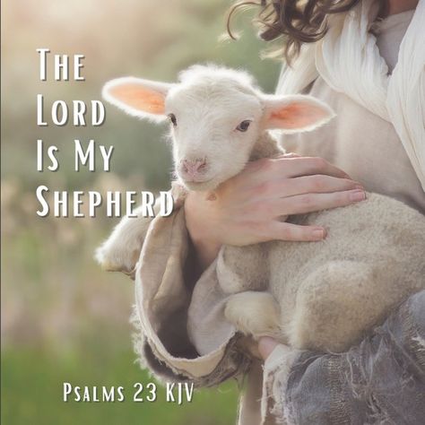 Psalm 23 Kjv, Good Shepard, Baby Lamb, Religious Painting, Ayat Alkitab, Jesus Christ Images, The Good Shepherd, Psalm 23, Faith Inspiration