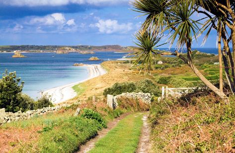 Britain's most peaceful places Farne Islands, Northumberland Coast, Scilly Isles, Uninhabited Island, Cornish Coast, Lake District National Park, Snowdonia National Park, North York Moors, Forest Trail