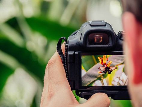 10 Ways to Get Your Photography Noticed (That Really Work!) 블로그 디자인, Single Lens Reflex Camera, Kamera Dslr, Camera Polaroid, Best Dslr, Reflex Camera, Jenni Rivera, Camera Dslr, Compact Digital Camera