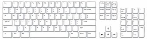 Keyboard Worksheet, Picture Of Computer, Keyboard Layout, Free Computer, Typing Skills, Free Printable Worksheets, Learning Resources, Printable Worksheets, Computer Keyboard