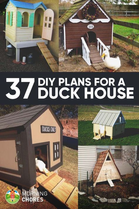 Diy Duck House, Duck House Plans, Duck Pens, Chicken Houses, Backyard Ducks, Duck Coop, Chicken Barn, Duck Farming, Raising Ducks