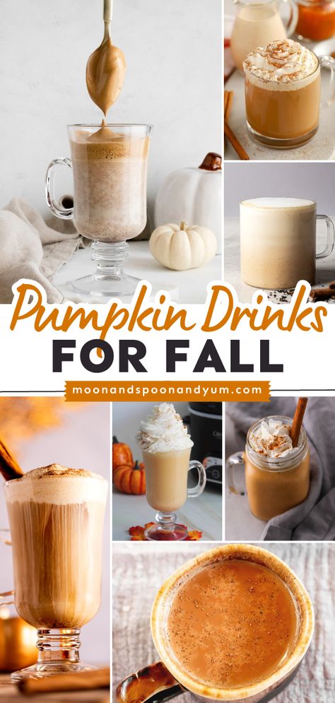 All the pumpkin drink recipes for fall! No matter what you're in the mood for, there's a perfect fall beverage right here. Enjoy this roundup of coffees, teas, hot chocolates, smoothies, and other pumpkin drinks! Pumpkin Spice Drinks Without Coffee, Thanksgiving Hot Drinks, Drinks For Fall, Pumpkin Frappe, Pumpkin Drink Recipes, Fall Everything, Warm Drinks Recipes, Pumpkin Drink, Gluten Free Family Meals