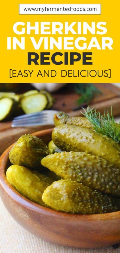 Gherkins are a vegetables used mainly as salads or pickles. They are a distant cousin of the cucumber. Gherkins are pickled frequently as they are smaller and many people prefer the smaller size for their pickles. Let us take a look at gherkins, their benefits, and some ways to preserve them as pickles. .#MyFermentedFoods #FermentedVeggie #Vinegar #Fermentation #Fermenting #FermentedFoods #Gherkins #Pickling #Pickles #canning #foodpreservation #preserving #homecanning #canningrecipes #recipe Pickling Pickles, Pickles Canning, Fermented Foods Benefits, Dehydrated Food, Garden Recipes, Pickling Recipes, Fermented Foods, Tempeh, Fermenting