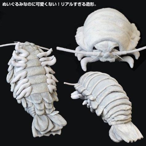 Bathynomus Giganteus, Giant Isopod, Beautiful Bugs, Unique Purses, Sea Creature, Stuffed Animal Patterns, Ponies, Plush Dolls, Sea Creatures