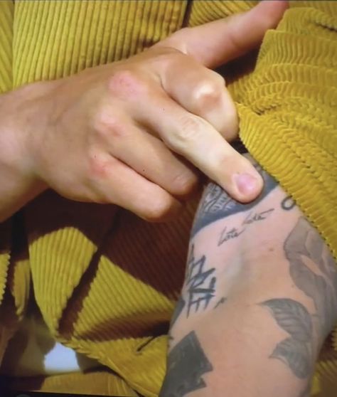 Harry Styles Late Late Show, Delicate Point Of View, Harry And Niall, Harry Styles Tattoos, Late Late Show, Latest Tattoos, Harry's House, The Late Late Show, Honey Bunny