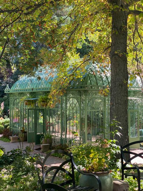 Large Garden Aesthetic, Wedding Green House, Greenhouse Wedding Aesthetic, Glass Greenhouse Attached To House, Aesthetic Greenhouse, Green House Wedding, Conservatory Wedding, Denver Botanic Gardens, Greenhouse Wedding