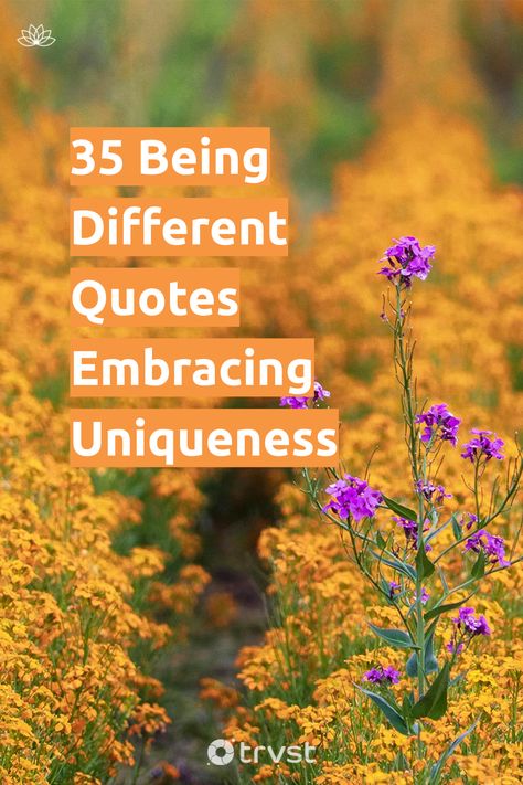 🌱🙌 Stand tall in your uniqueness! Our collection of 35 empowering quotes celebrates the beauty in being different. Find solace, inspiration, and the courage to love your individuality amidst societal norms. Your uniqueness is your superpower! Tap into it today! 💪💚 #BeUnique #SelfLove #Courage #Inspiration #Empowerment Standing Tall Quotes, Differences Quotes, Being Different Quotes, Stand Tall Quotes, Difference Quotes, Identity Quotes, Individuality Quotes, Carson Kressley, Support Quotes