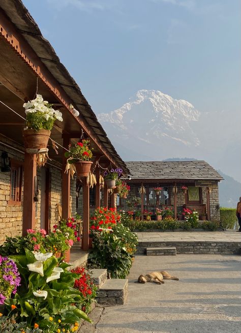 Nepal | ghandruk | heaven is myth Nepal is real| cottage | nature | mountain | annapurna | 2024 Moodboard, Nature Peace, Work Art, Mother Nature, Nepal, Travel, Beauty, Quick Saves, Art