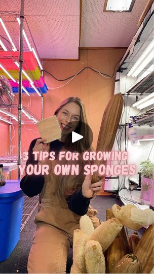 Grow Luffa, Homemade Greenhouse, Garden Tool Organization, Living Off The Land, Grow Your Own, Sustainable Living, Backyard Garden, First Year, To Grow