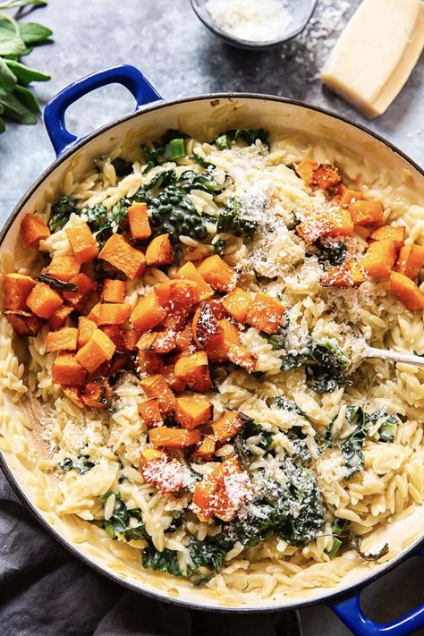 Delicious, full of nutrients and satisfying autumn favourite. This creamy orzo pasta with roasted butternut squash ticks all the boxes! Creamy Orzo Pasta, Creamy Orzo, Orzo Recipes, Butternut Squash Recipes, Orzo Pasta, Dinner Meals, Roasted Butternut, Roasted Butternut Squash, Squash Recipes