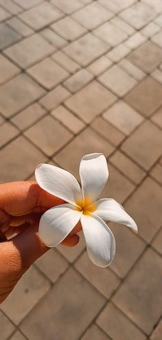 instagram story ideas | insta story | spring aesthetic | springtime | flowers | pink flowers Flower Aesthetic Snapchat, Snapchat Cover Photos Aesthetic, Real Flower Pictures Nature, Flowers Snapchat Streak, Wallpaper For Snapchat Chat, Flower Aesthetic Snap, Snapchat Chat Wallpapers, Snapchat Cover Photo, Flowers Aesthetic Snapchat