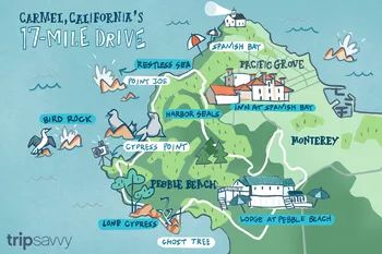 Top Things to Do in Monterey, Carmel, and Pacific Grove Things To Do In Monterey California, Cali Vacation, Monterey Bay California, Pacific Coast Road Trip, California Coast Road Trip, Grad Trip, 17 Mile Drive, California Roadtrip, Monterey Peninsula