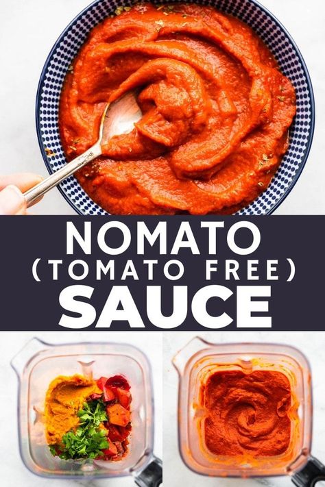 Dairy Free Tomato Free Recipes, Dairy And Tomato Free Pasta Sauce, Tomato Free Sauce, Dairy And Tomato Free Recipes, Tomato Free Salsa, Nightshade Free Pasta Sauce, Healthy Tomato Sauce, Nomato Sauce, Acid Reflux Friendly Recipes