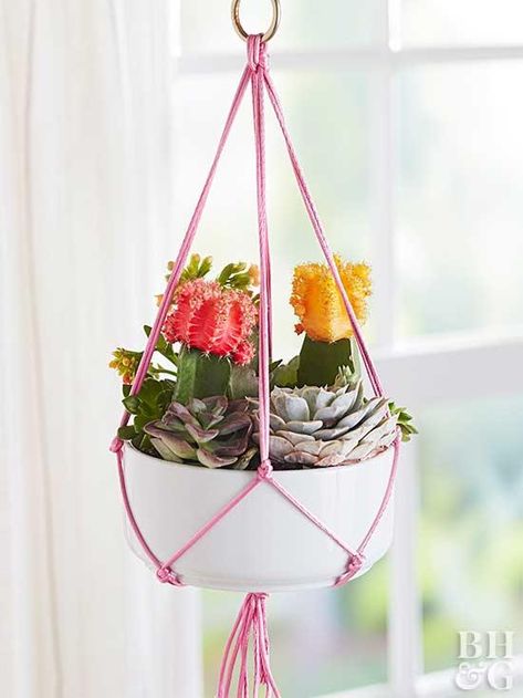 Treat your potted plants to a simple knotted sling that's a blast from the macramŽ past. #plants #diy #plantholder Diy Macramé, Diy Hanging Planter, Macrame Plant Hanger Patterns, Macrame Hanging Planter, Plant Pot Holders, Diy Macrame Plant Hanger, Hanging Plant Holder, Hanging Plants Indoor, Hanging Succulents