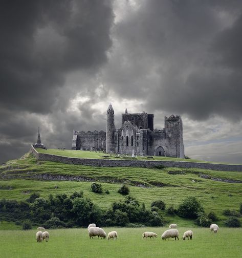 Cashel Ireland, Rock Of Cashel, Tipperary Ireland, Ross Castle, Boldt Castle, Hohenzollern Castle, County Sligo, Belfast City, County Donegal