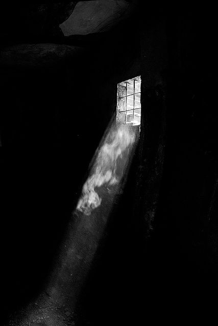 Light And Shadow Photography, Fotografi Vintage, Shadow Photography, Through The Window, Dark Photography, Dark Room, Black White Photos, Chiaroscuro, Black N White