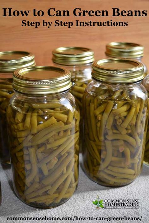 Pressure Canning Green Beans, Canning Green Beans, Kaleb Wyse, Canning Beans, Canning Salt, Brisket Tacos, Pressure Canning Recipes, Canning 101, Canning Fruit