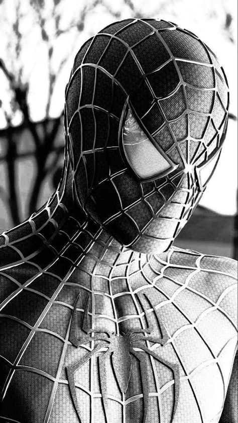 Spiderman Realistic, Spiderman Black And White, Spiderman Reference, Spiderman Portrait, Marvel Portraits, Super Hero Tattoos, Batman Art Drawing, Drawing Body Proportions, Spiderman Noir