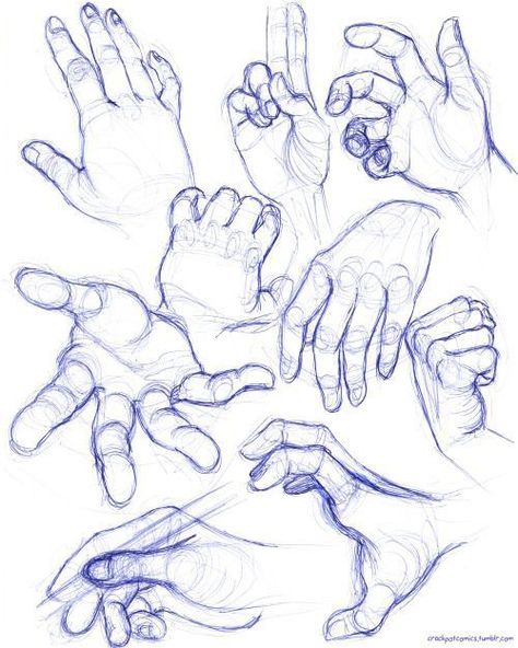 Comic Book Hands, Human Sketching, Hand Studies, Human Anatomy Drawing, Hand Drawing Reference, Human Anatomy Art, Lupin Iii, Anatomy Sketches, Female Art Painting