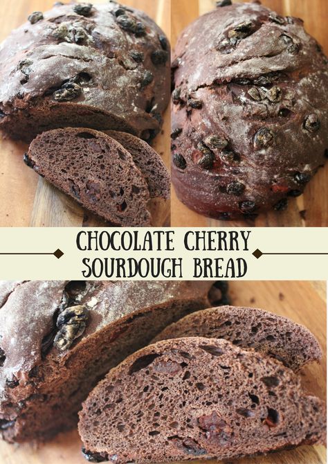 Chocolate Cherry Sourdough Bread! A recipe the whole family will love! ~CulturedFoodLife Cherry Sourdough Recipes, Chocolate Cherry Bread Recipe, Sourdough Cherry Rolls, Easy Chocolate Sourdough Bread, Cherry Sourdough Bread, Chocolate Cherry Sourdough Bread, Strawberry White Chocolate Sourdough, Chocolate Strawberry Sourdough, Cherry Sourdough