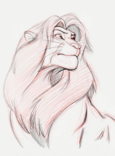 Disney Animal Drawings, Sketches Of Disney Characters, Lion Drawing Reference, How To Draw Lion King, The Lion King Drawing, Drawing Lion King, Lion King Drawing, Simba Drawing, Nala Lion King Drawing