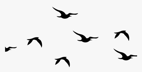 Fonts For Business, Flying Bird Drawing, Birds Silhouette, Flying Bird Silhouette, Signature Logo Design, Silhouette Tattoos, Birds In The Sky, Bird Clipart, Bird Graphic