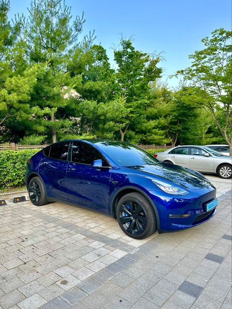 With blue caliper Tesla Model Y, Tesla Model, Calipers, Tesla, Blue