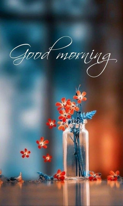 Friend Background, Good Morning Spring, Good Morning Friend, Wallpaper Good Morning, Beautiful Morning Pictures, Morning Friend, Sweet Good Morning Images, Good Morning Gift, Good Morning Posters