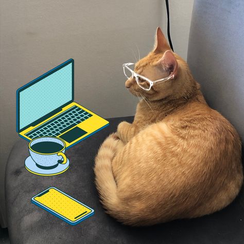 The new Business Cat Meme. #GooseTheCat #BusinessCatMeme Business Cat Meme, Business Cat, Cat Meeting, Cat Meme, New Business, Cat Memes, Scooby Doo, Feel Good, Presentation