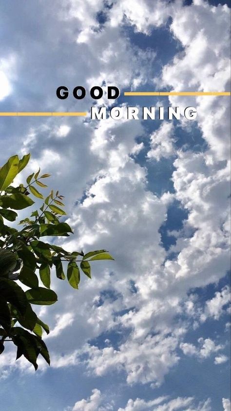 Algorithm Instagram, Social Media Vs Reality, Instagram Growth Tips, Faceless Instagram, Sunset Quotes Instagram, Good Morning Coffee Images, Instagram Creative Ideas, Pose Fotografi, Good Morning Cards