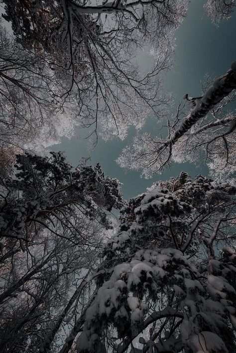 Frozen Forest Aesthetic, Snowy Wallpaper Aesthetic, Snowy Aesthetic Wallpaper, Snowy Mountains Aesthetic, Winter Season Aesthetic, Snowing Aesthetic Wallpaper, Winter Widgets, Rose Weasley, Tower Photography